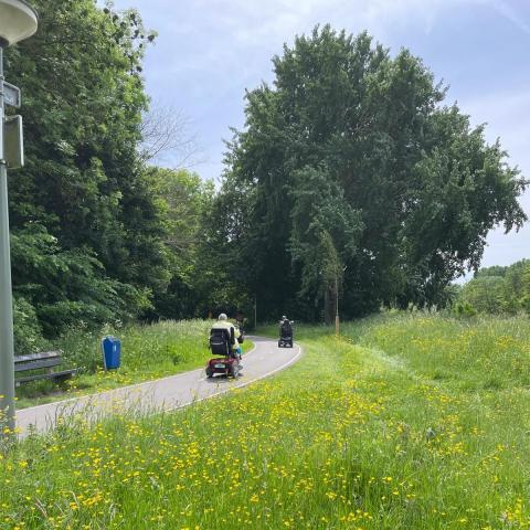Trekkade