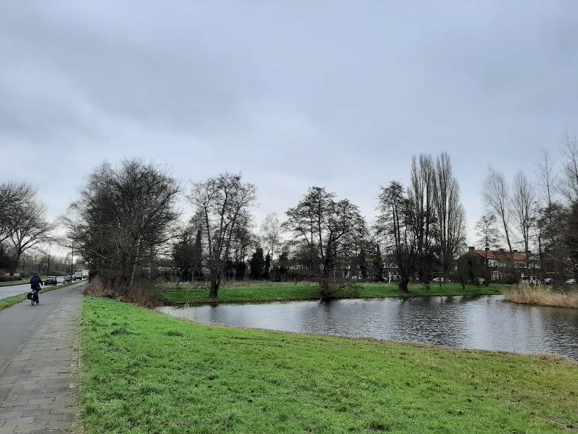 Foto van bomen aan de marathonweg.